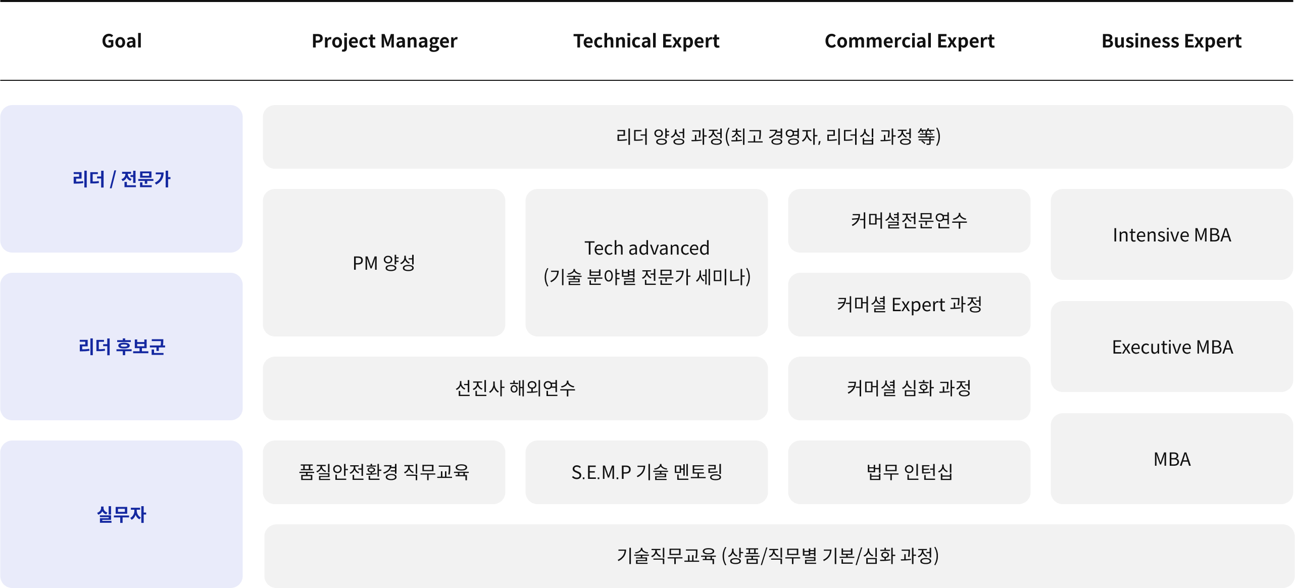 최고 기술 전문가 양성을 goal, project manager, technical expert, commercial expert, business expert로 구분하여 나타낸 표