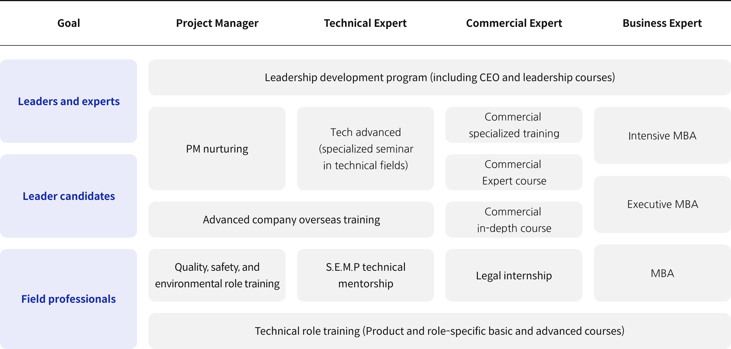 최고 기술 전문가 양성을 goal, project manager, technical expert, commercial expert, business expert로 구분하여 나타낸 표